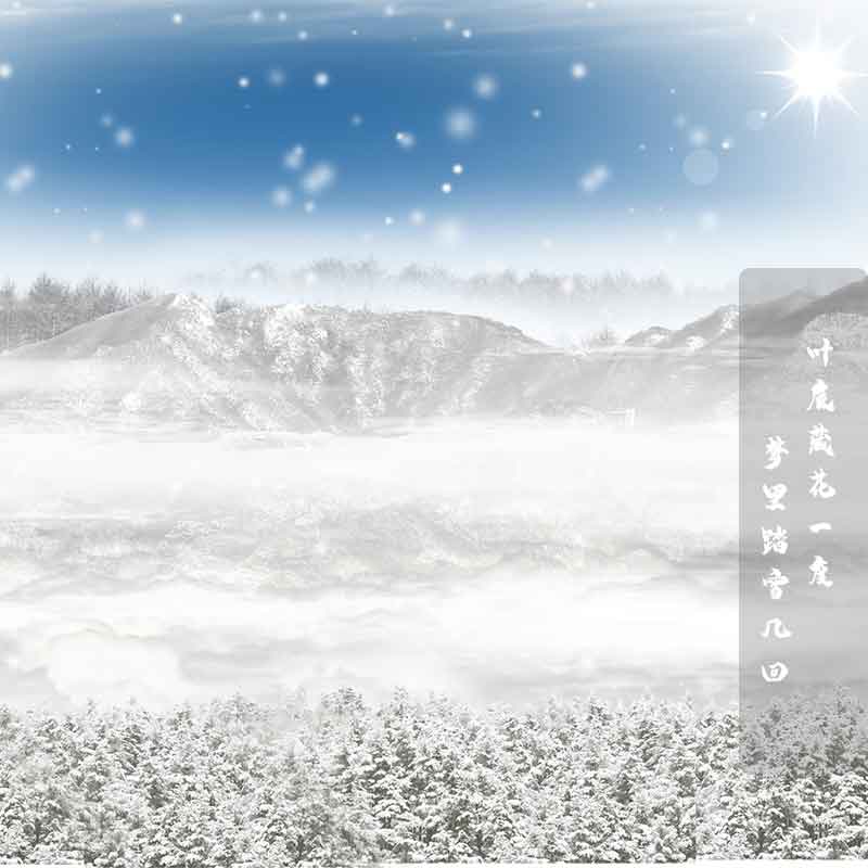 《一代宗师》中的雪景